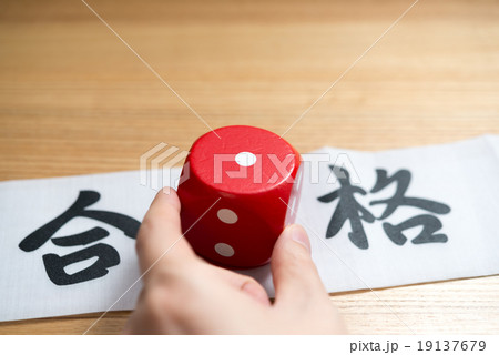 合格 合格 19137679
