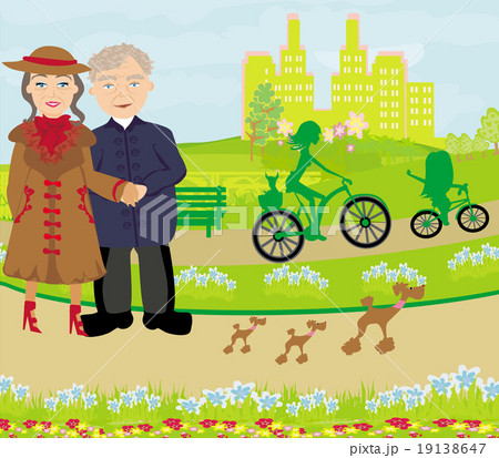 Senior couple walking in sunny day with dogs 19138647