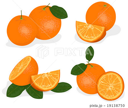 Orange fruit isolated on white background Orange fruit isolated on white background 19138750