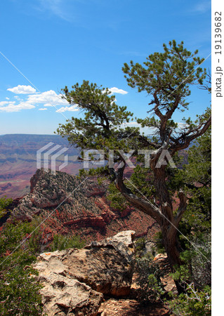 Grand Canyon National Park, USA.. Grand Canyon National Park, USA.. 19139682