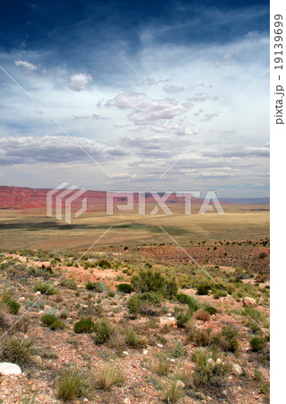 Vermillion Cliffs, USA.. 19139699