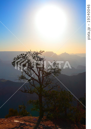 Grand Canyon National Park, USA.. Grand Canyon National Park, USA.. 19140046
