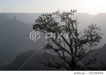 Grand Canyon National Park, USA.. Grand Canyon National Park, USA.. 19140048