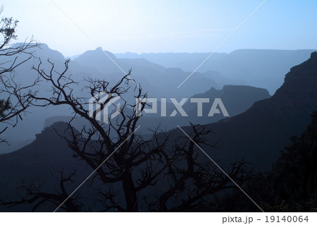 Grand Canyon National Park, USA.. Grand Canyon National Park, USA.. 19140064