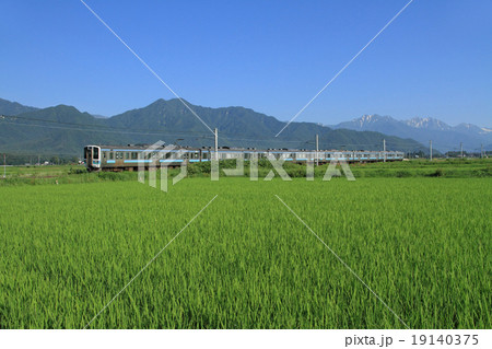 大糸線 初夏の安曇野 大糸線 初夏の安曇野 19140375