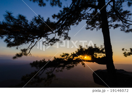 beautiful landscape with color of the evening sky beautiful landscape with color of the evening sky 19146072
