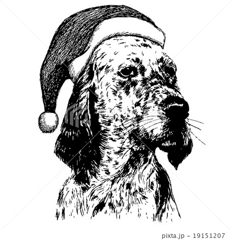 english setter hat