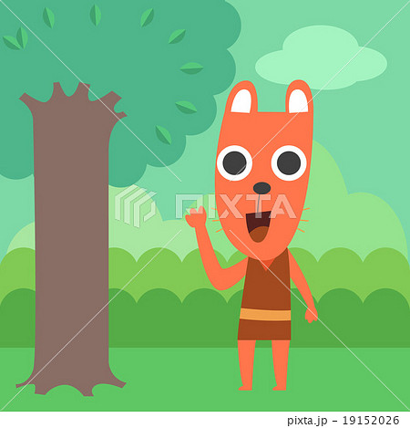 Raccoon in forest 19152026