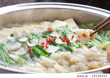 もつ鍋 もつ鍋 19156435