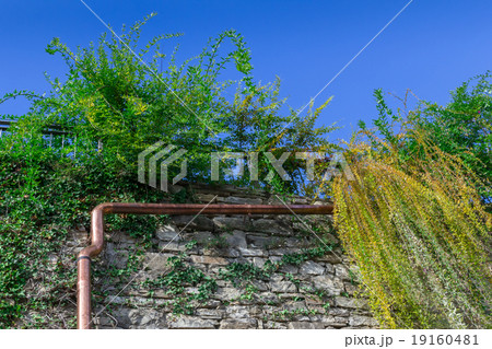 Gutter on wall 19160481