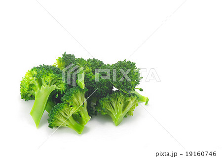 茹でたブロッコリー　白背景 19160746