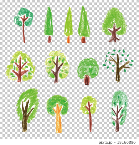 Colored pencil drawing 19160880