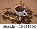 coffee beans cinnamon cookie white cup and saucer  19161308