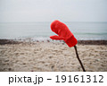 Sea cold winter gloves warm loneliness lost glove 19161312