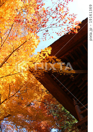 平林寺の紅葉 平林寺の紅葉 19161369