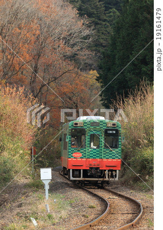 真岡鐵道「紅葉した山間部のカーブを抜けて」 19161479
