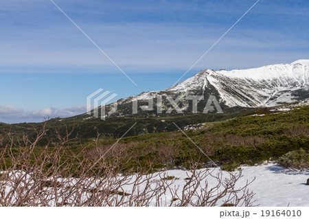 Mountain Asahidake in winter 19164010