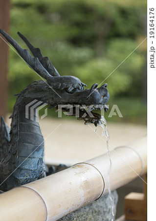 杭全神社手水舎の龍 19164176