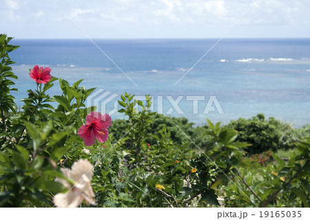 石垣島 玉取崎 19165035