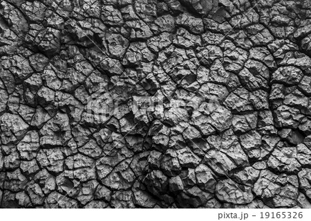 Rock background Rock background 19165326