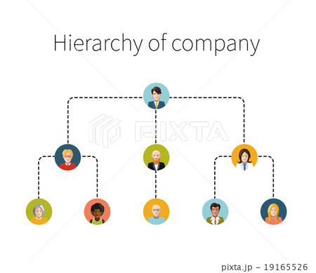 Hierarchy of company flat illustration isolated Hierarchy of company flat illustration isolated 19165526