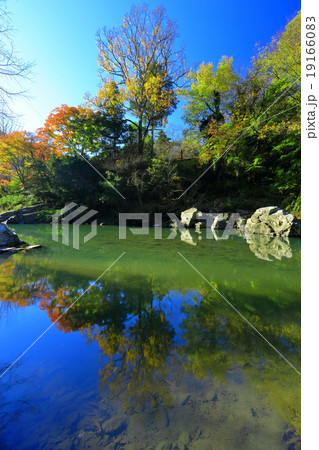 嵐山渓谷の紅葉 嵐山渓谷の紅葉 19166083