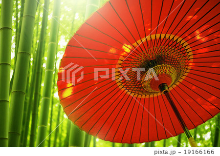 傘　和傘 19166166