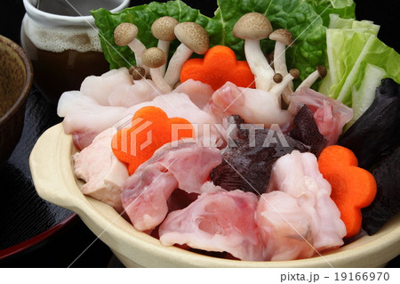 鍋料理　鮟鱇　あんこう鍋 19166970