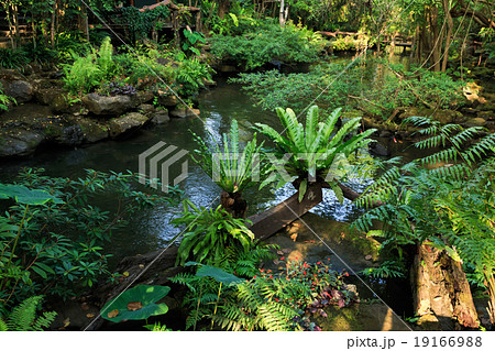 park land park land 19166988