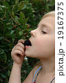 Small girl is eating  blackberry. 19167375
