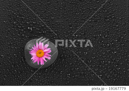 The black stone with a flower 19167779
