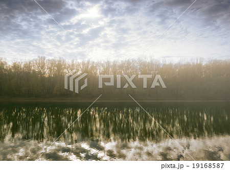 Fog in forest, sun and trees reflected in river 19168587
