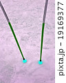 few green alpine canes on violet snow. 19169377