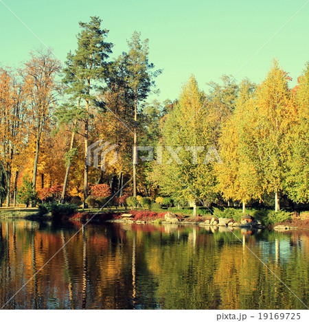 Colorful autumn trees reflected at the pond Colorful autumn trees reflected at the pond 19169725