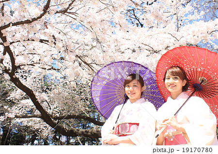 満開の桜と着物女性たち 19170780