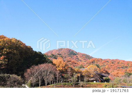 紅葉の二上山 紅葉の二上山 19171763