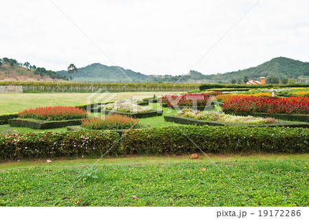 Floral landscaping. Floral landscaping. 19172286