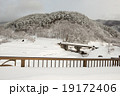 Japan after the heavy snow storms  19172406