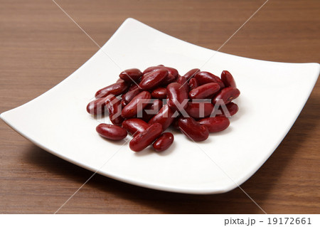 レッドキドニー 19172661