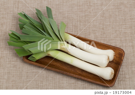 西洋長ネギ　リーキ 19173004