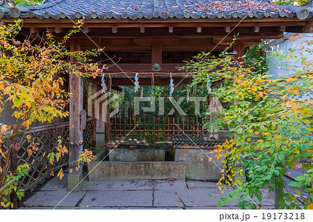 京都　梨木神社　染井の水 19173218