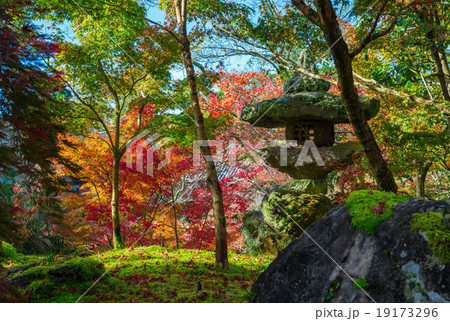 京都 永観堂の紅葉 京都 永観堂の紅葉 19173296