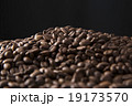 珈琲豆 19173570