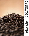 珈琲豆 19173572