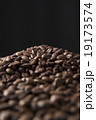 珈琲豆 19173574