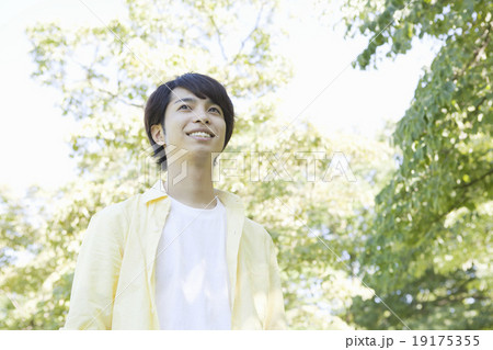 緑の中の20代男性 緑の中の20代男性 19175355