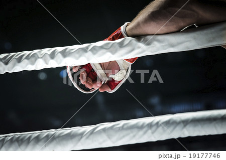closeup hand of fighter MMA in glove closeup hand of fighter MMA in glove 19177746