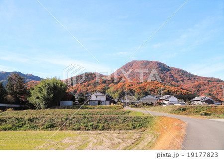 紅葉の二上山遠望 19177823