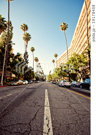 Palm streets of Beverly Hills 19178408