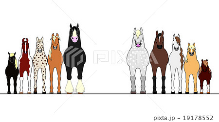 馬 正面 並ぶ 種類 コピースペースのイラスト素材 19178552 Pixta